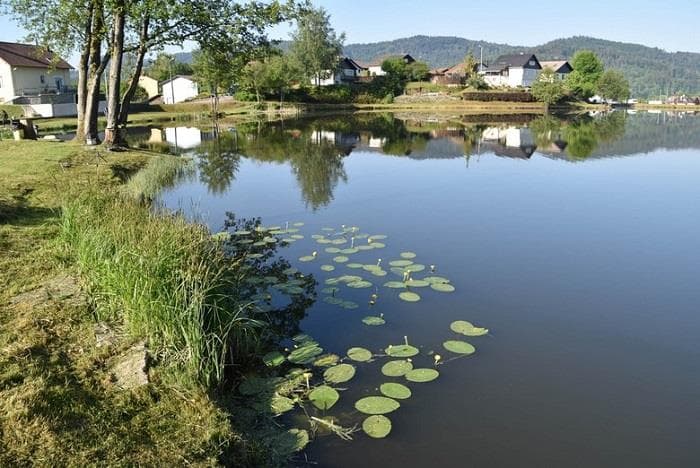 Pêche à l'étang de Chaume