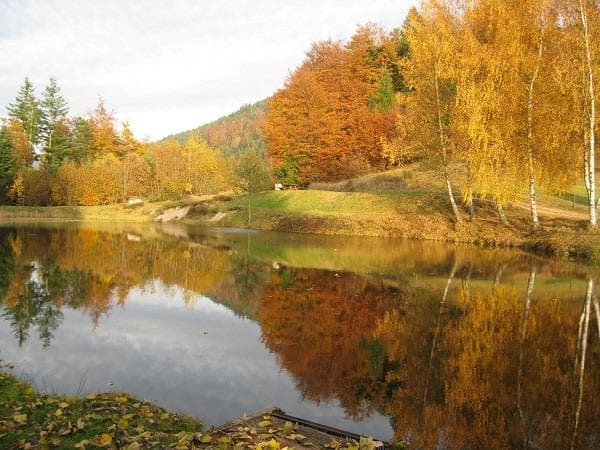 Pêche à l'étang des Fenesses