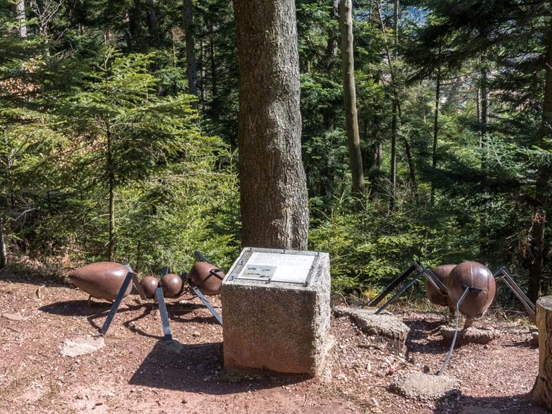 La Montagne des Fourmis Géantes