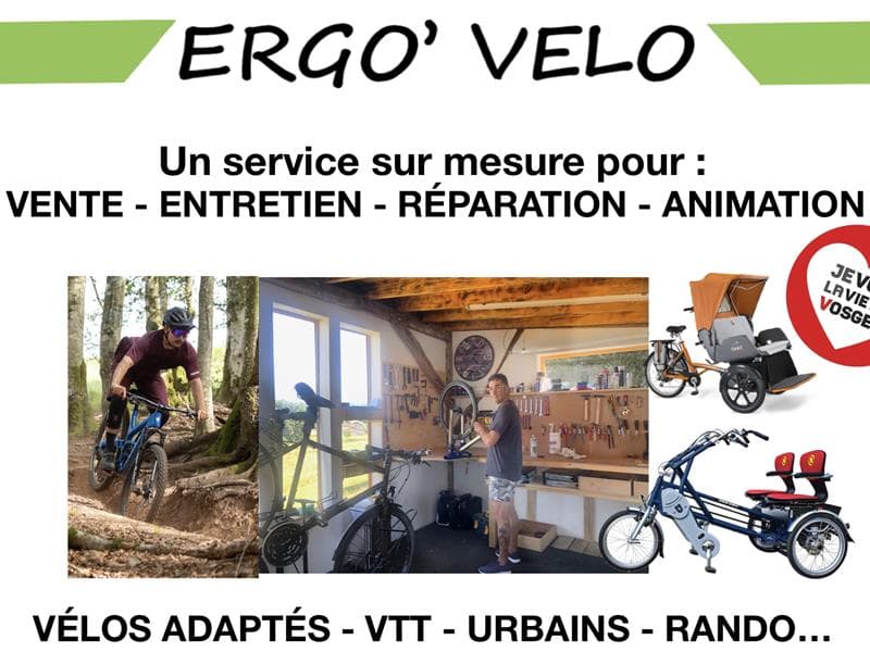 Ergo vélo
