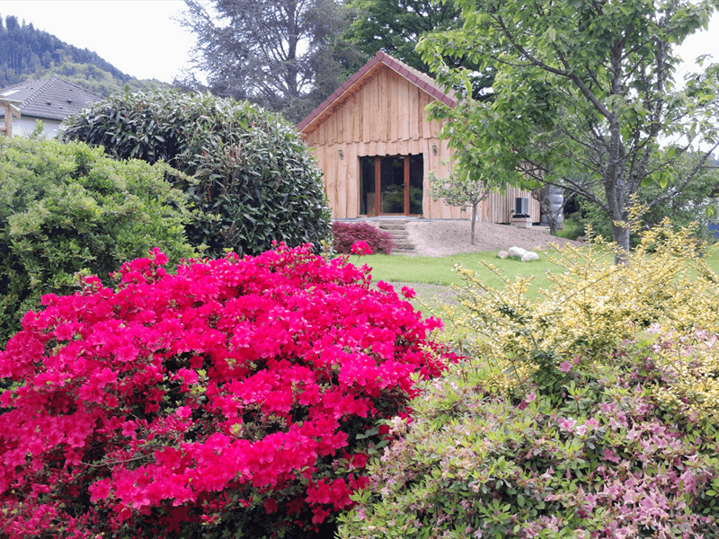 Gîte Le P'tit nid sous le chêne
