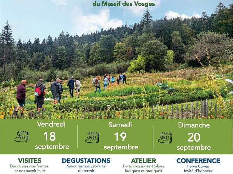 Trucs et astuces sensibles pour un jardin abondant