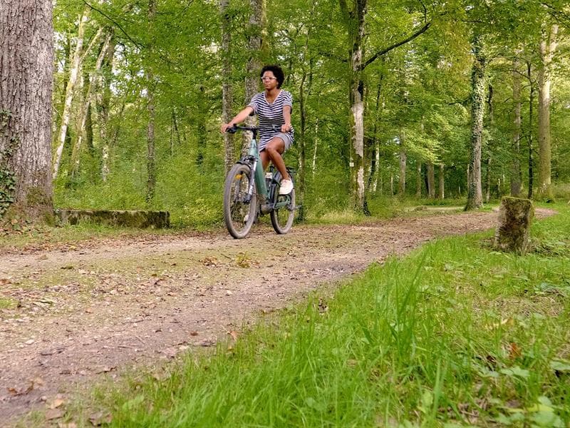 Forêt parc