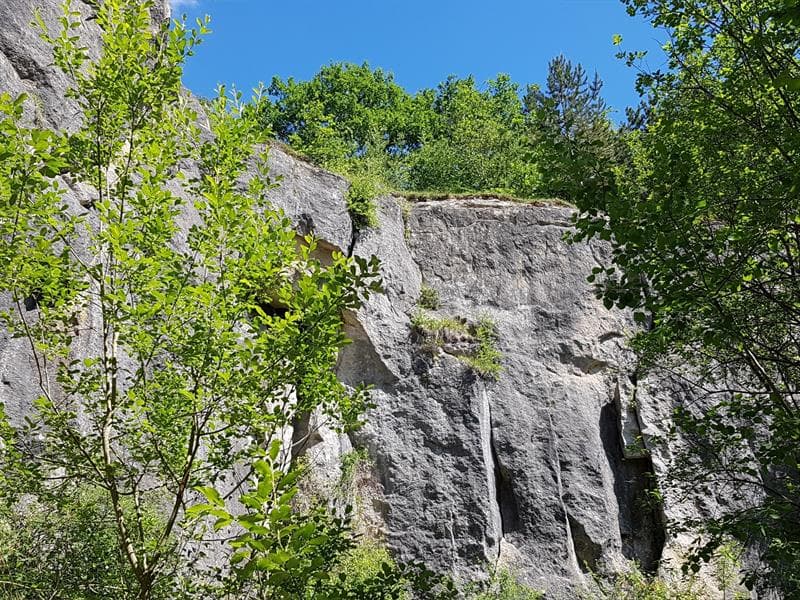 Pelouse calcaire les roches
