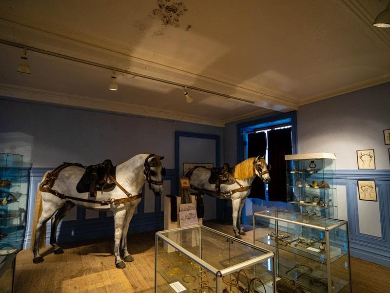 Musée Lorrain du Cheval