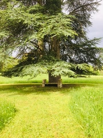Parc et château de la Varenne