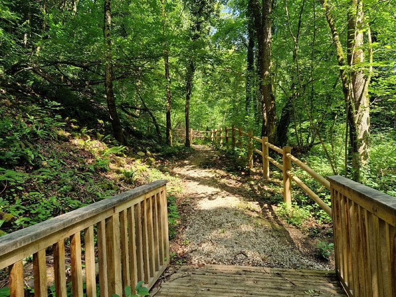 Massif forestier de Jeand'Heurs et ses sources karstiques