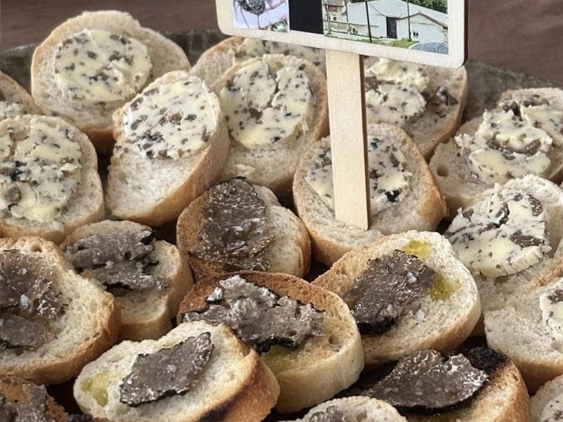 Les Truffes de la Bergerie