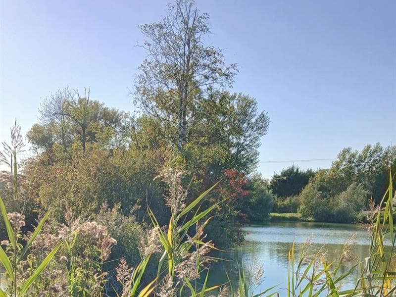 Etang de pêche de la Libellule