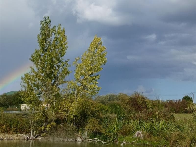 Etang de pêche de la Libellule