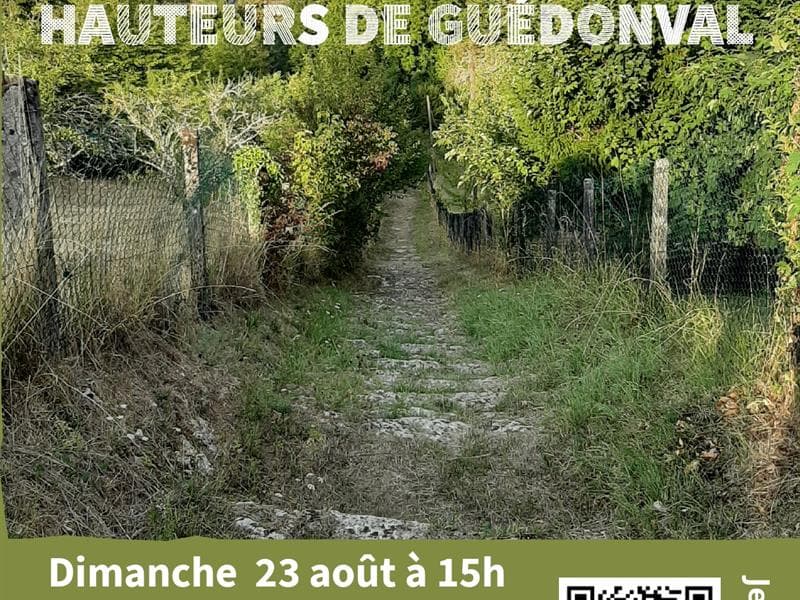 Visite-randonnée sur les hauteurs de Guédonval