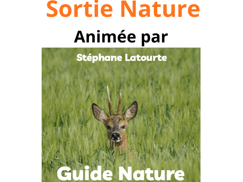 Sortie nature