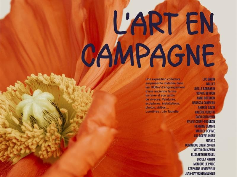 TEM 34ème édition - L'art en campagne