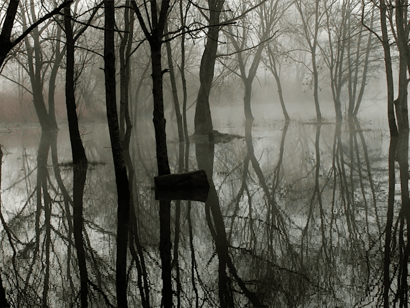 Cité des paysages - Moselle sauvage