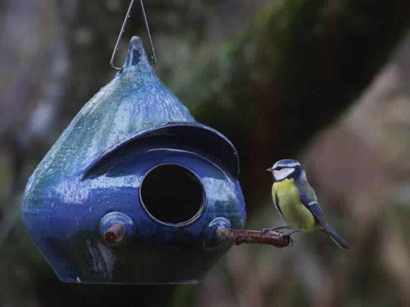 Poterie ateliercreaterre