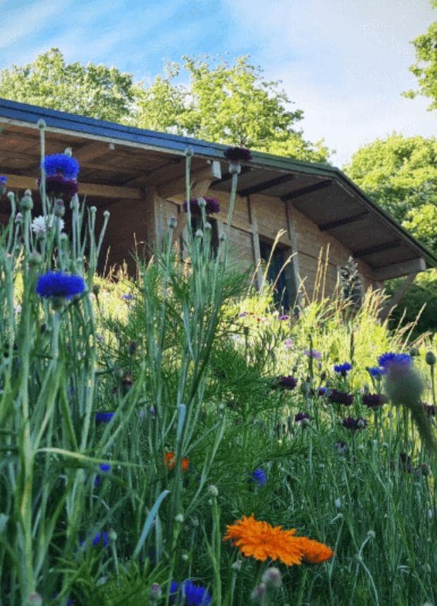 Chalet l'Orée du Phény 4 personnes