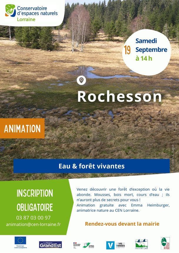 Sortie nature eau et forêt vivantes