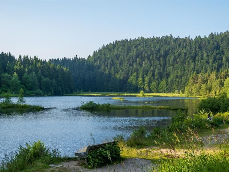 Le lac de lispach