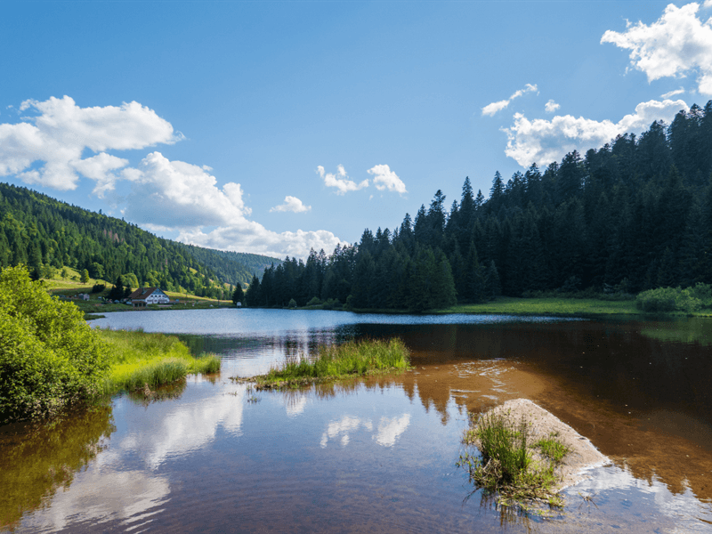 Lac de la Ténine