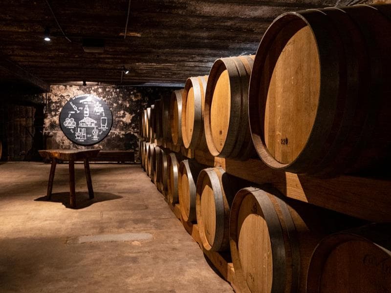 Visite de cave chez Lecomte Blaise