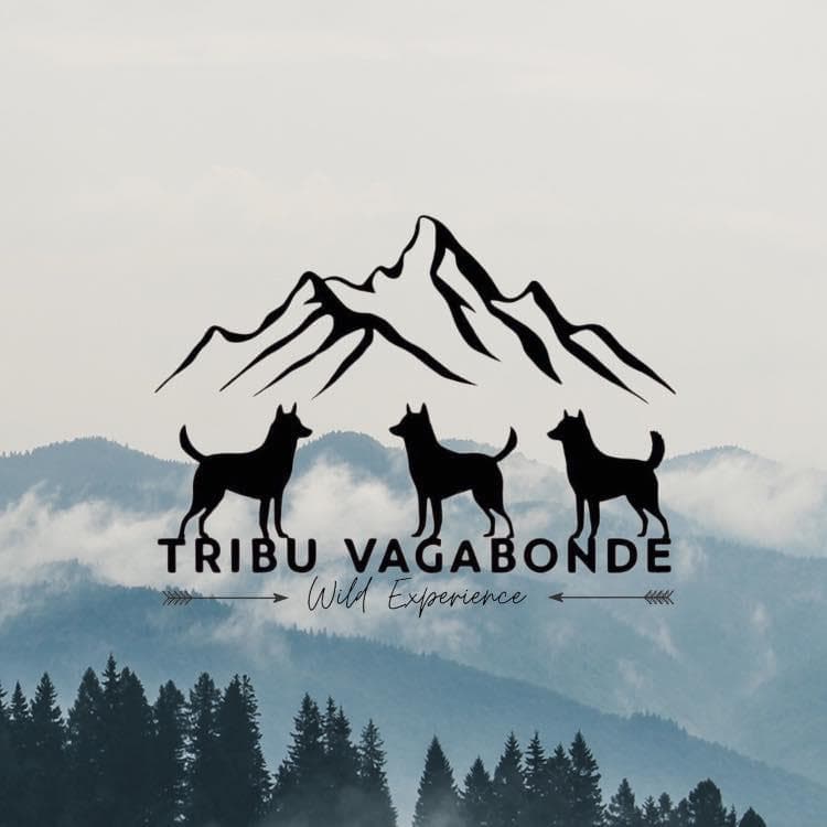 Tribu Vagabonde - chiens de traineau