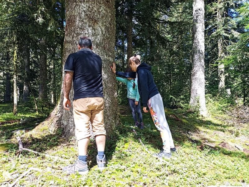 Bureau Montagne Gérardmer - Géocaching