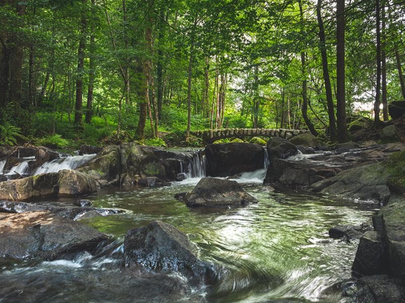 Le Saut des Cuves