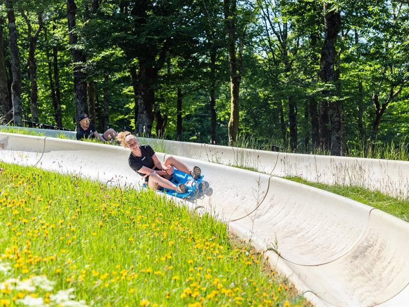 Luge d'été à la Schlucht