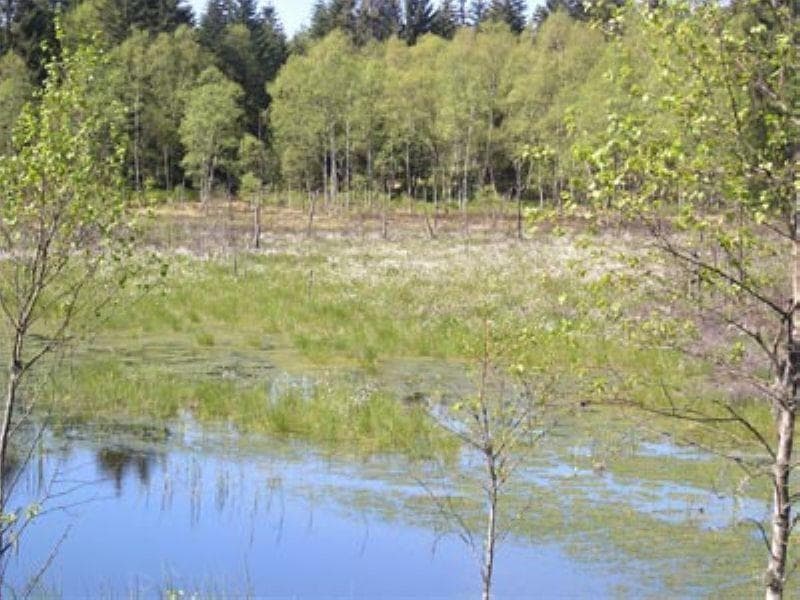 Le Conservatoire d'Espaces Naturels de Lorraine