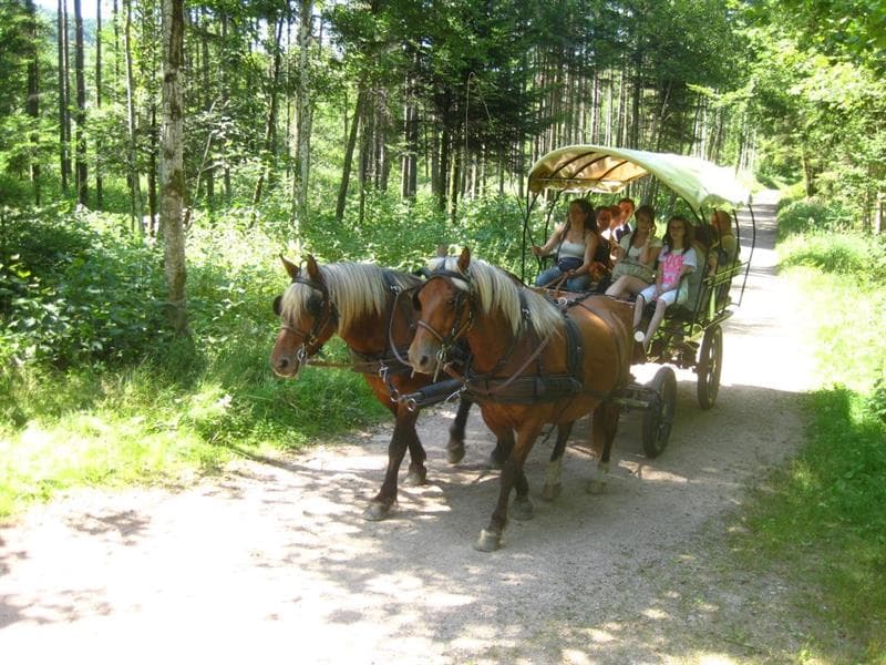 Ferme équestre Equi'val