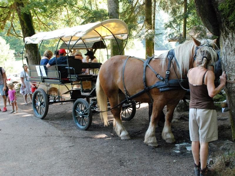 Ferme équestre Equi'val