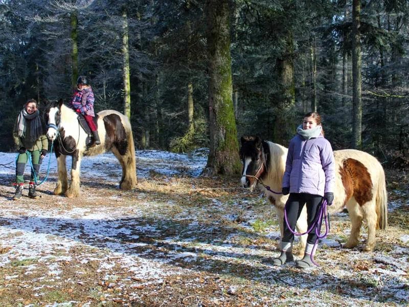 Horse Spirit - Le Clos Yakari