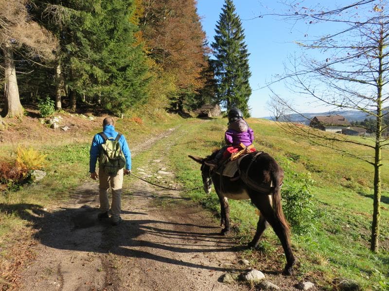 Frédérique Zeidler - Accompagnatrice en Montagne