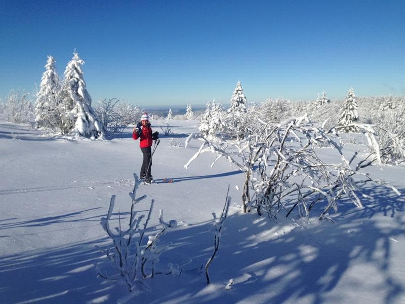 Sens à Sons Nature - Cours de ski nordique