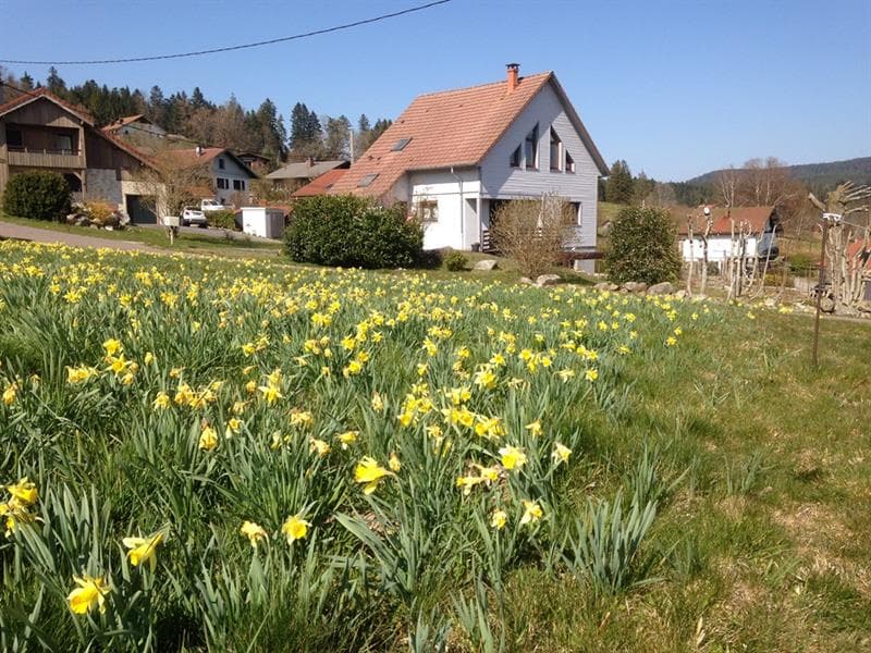Chambres d'hôtes - Chalet des Beuquillons