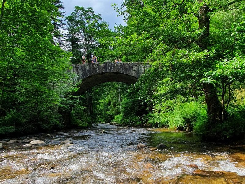 Le pont des fées