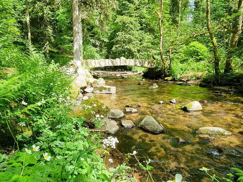 Les îles Marie-Louise