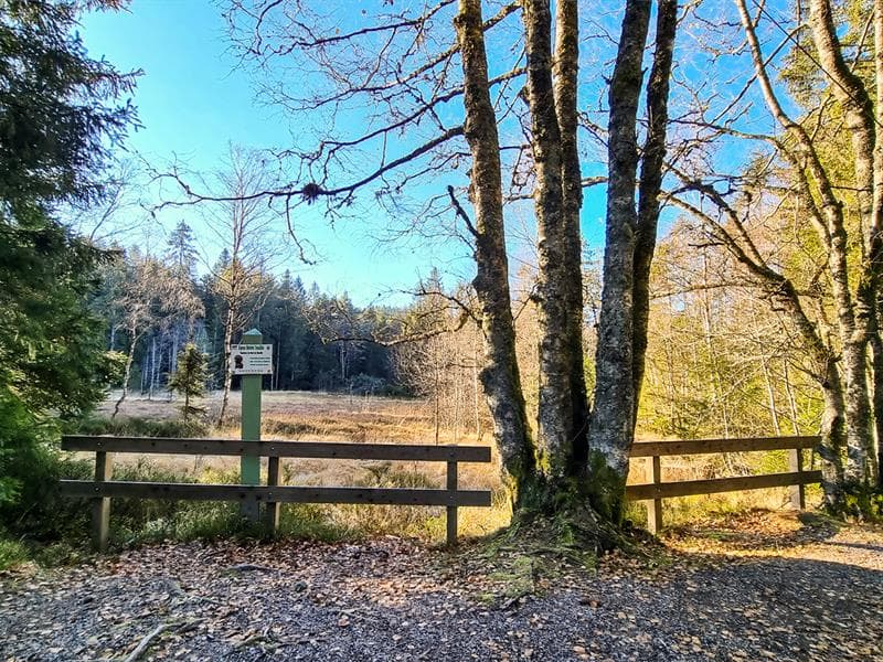 La tourbière du haut de Mérelle