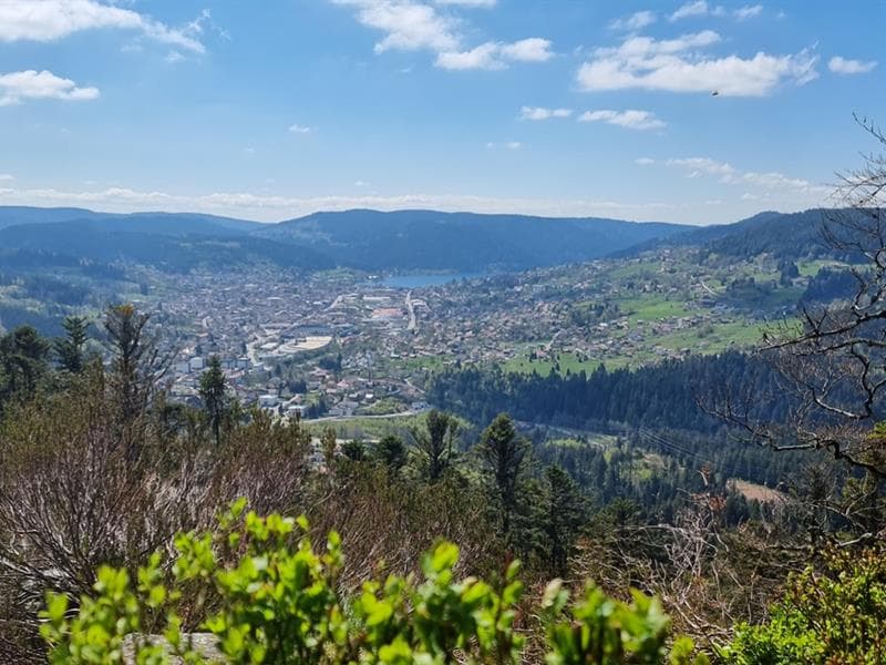 La roche des Bruyères
