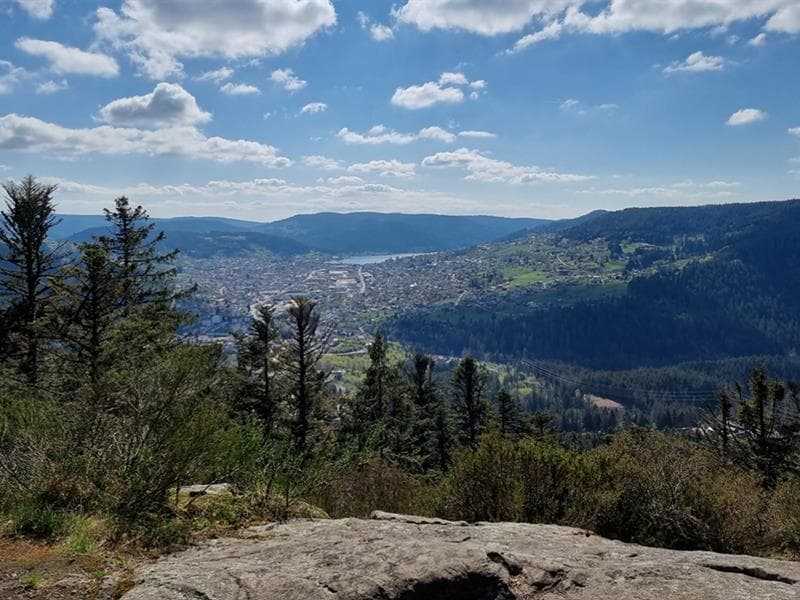 La roche des Bruyères