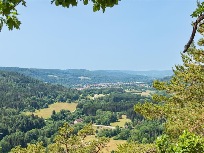 Le point de vue de Giropaire