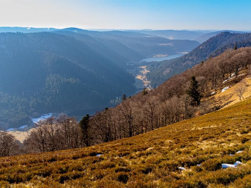 Le Haut Gazon