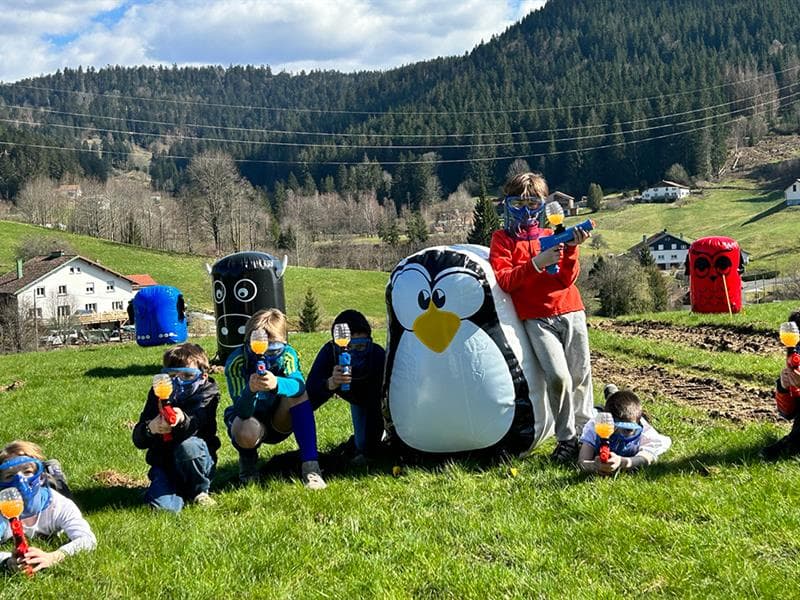 Vosges paintball