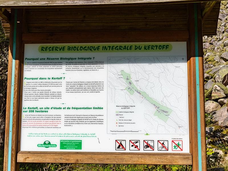 La réserve biologique intégrale du Kertoff