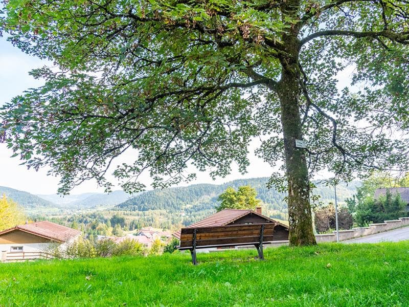 Le point de vue sur le Hohneck depuis Le Tholy
