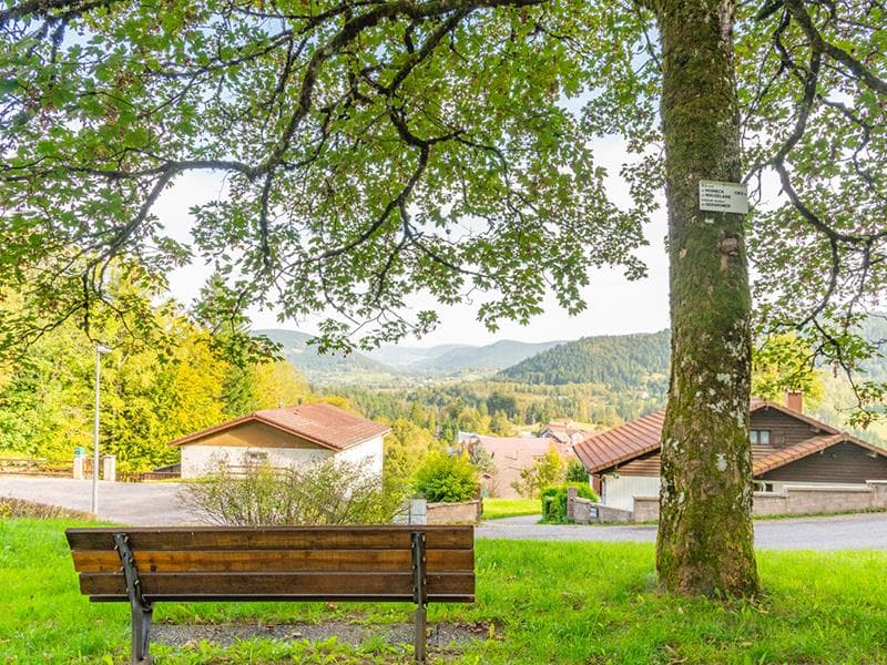 Le point de vue sur le Hohneck depuis Le Tholy