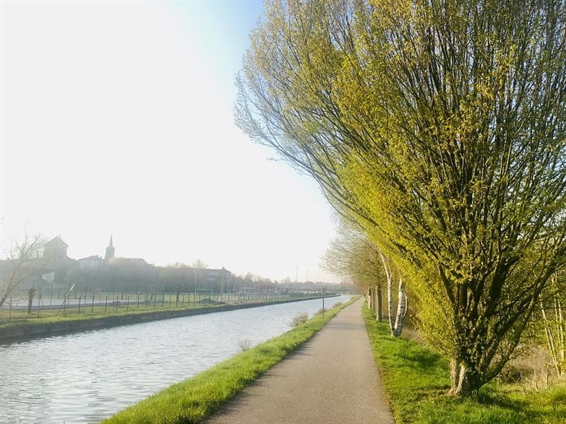 Arboretum le long du canal des Vosges