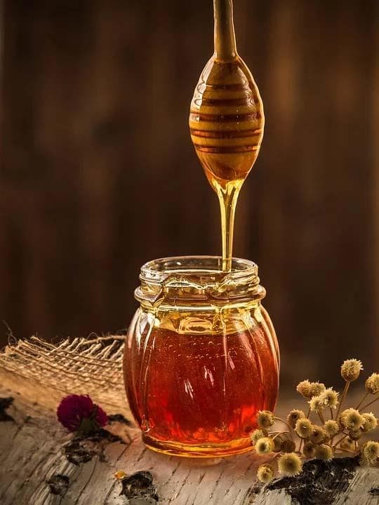 Visite de la fleur au pot - le chemin du miel.