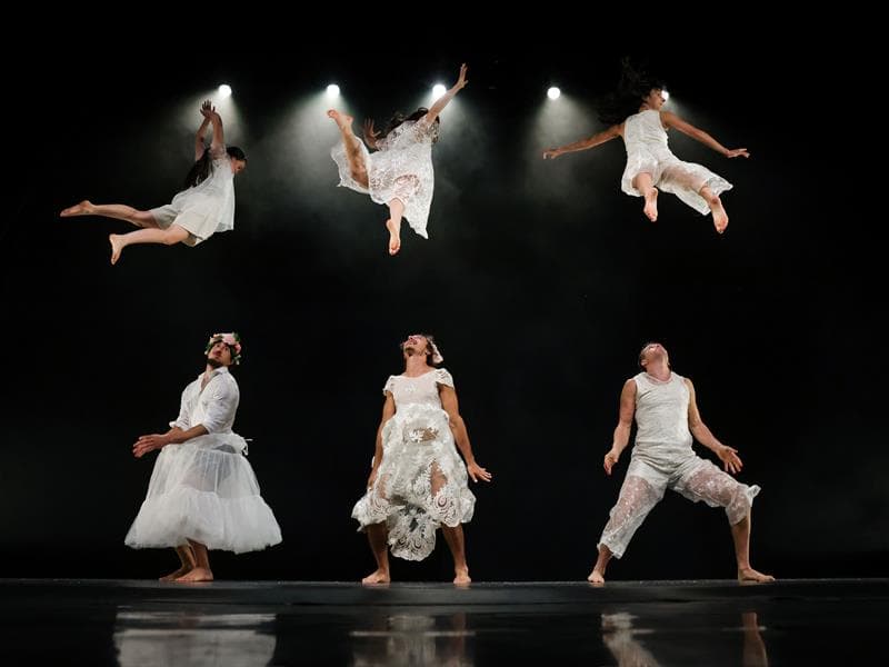 Spectacle de cirque - Orphées