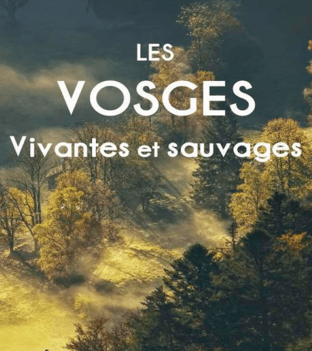 Conférence « Les Vosges Vivantes et Sauvages »